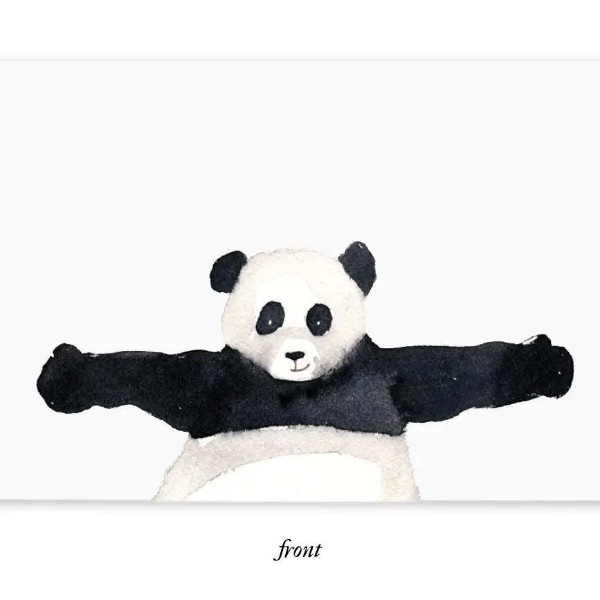 Panda Hug Little Notes®