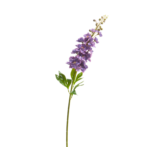 34" Delphinium Stem