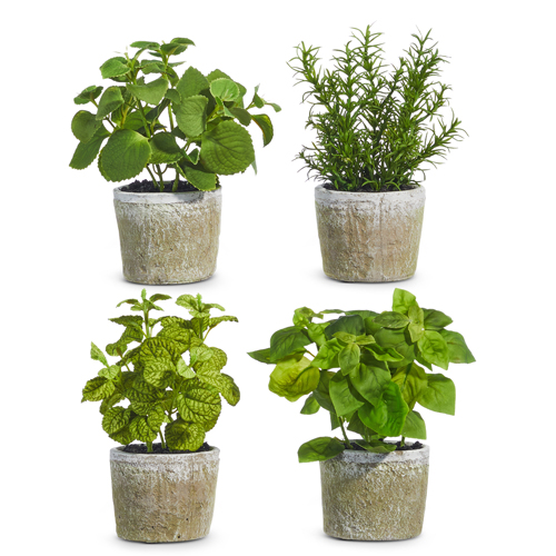 8.25" Potted Herb Asst.