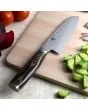 Premier Santoku 5.5"