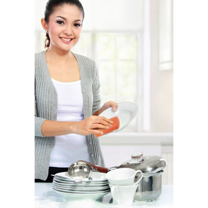 Peachy Clean Dish Scrubber