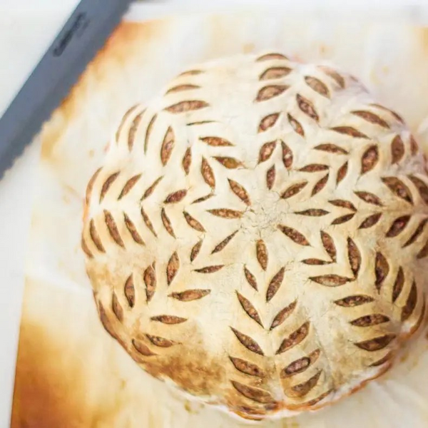 Sourdough Starter | Freeze Dried | San Francisco Style 12gm