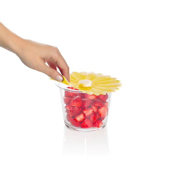 Daisy Lid 6" (Yellow)