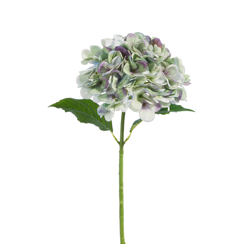 18" Green and Purple Hydrangea Stem