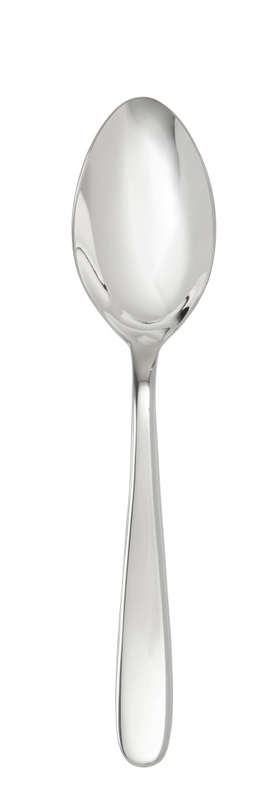 Grand City Stainless Steel Serving Spoon 9.25"