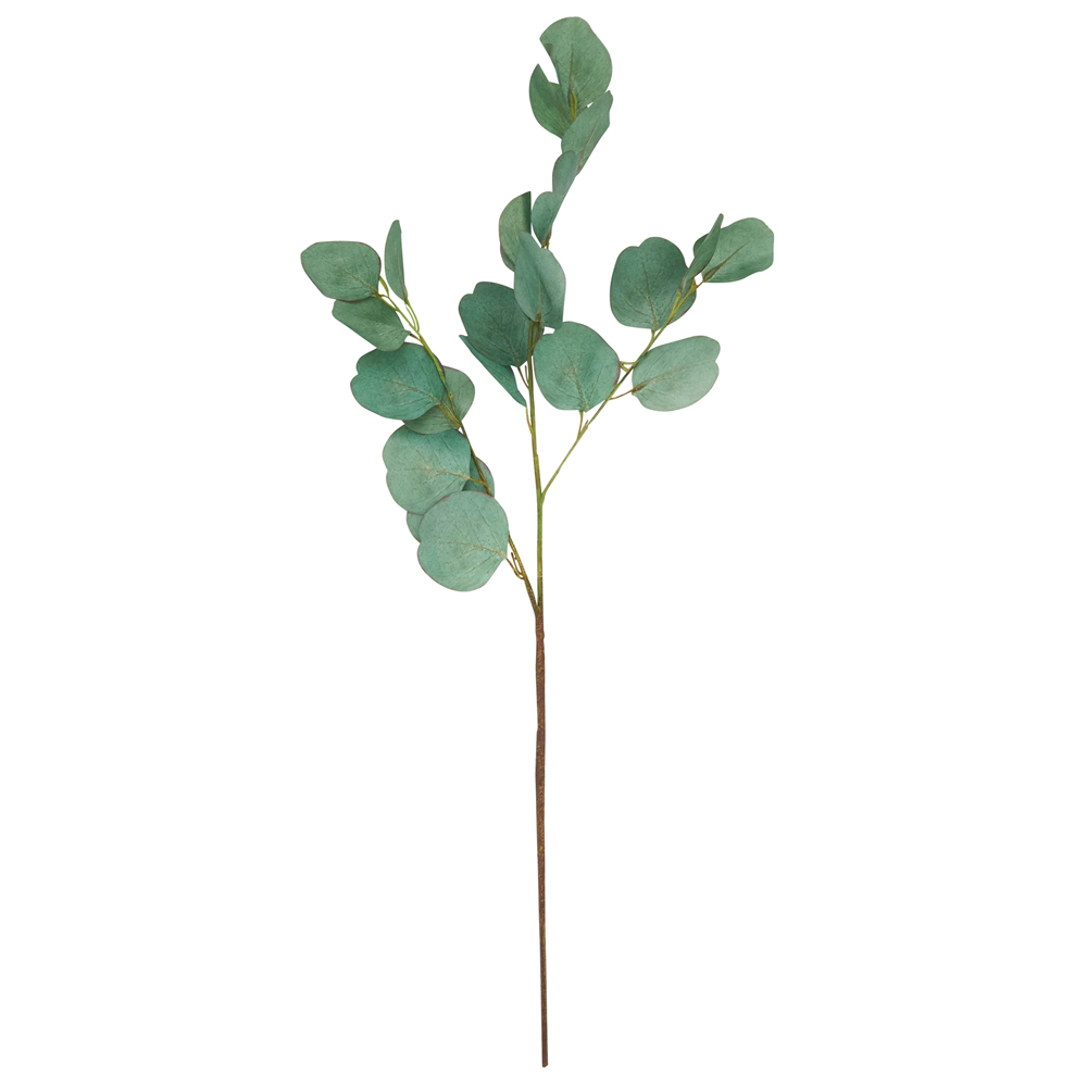 Eucalyptus Branch 32" Long
