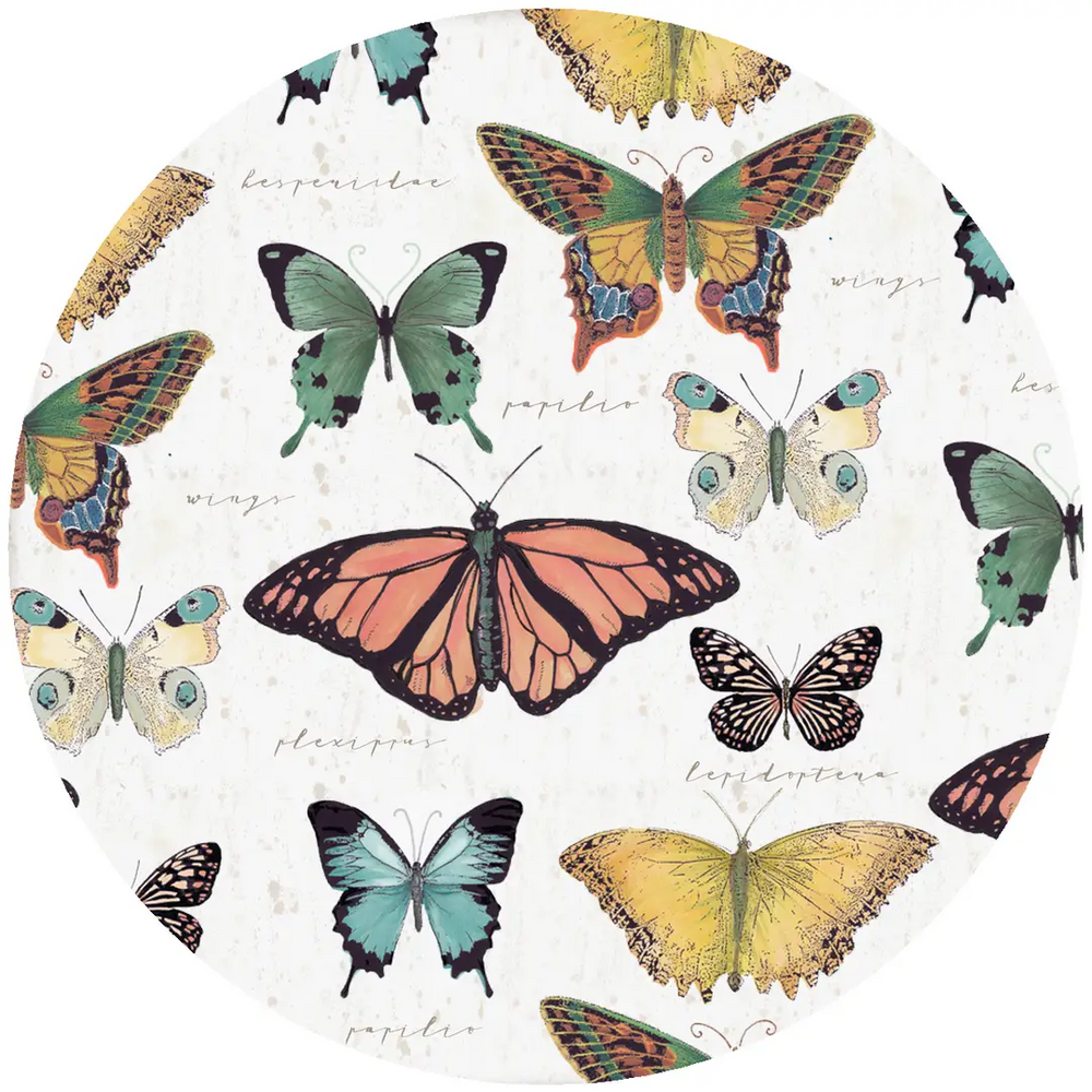 GG Butterfly | Jar Opener