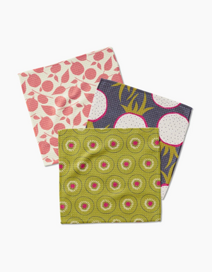 Tropical Fruit Dishcloth Set of 3 Geometry