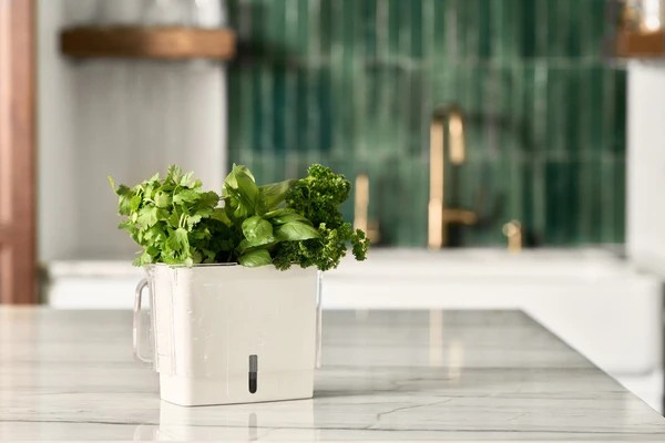 Cole & Mason Fresh Cut Herb Keeper