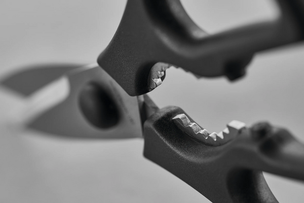Pull-Apart Kitchen Shears