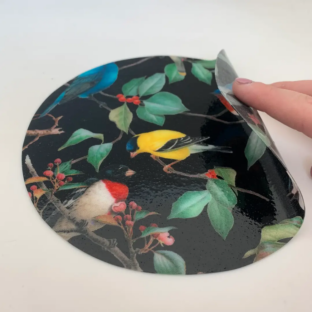 Birds | Jar Opener