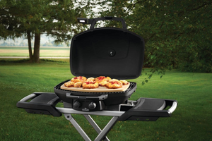 TravelQ Pizza Stone