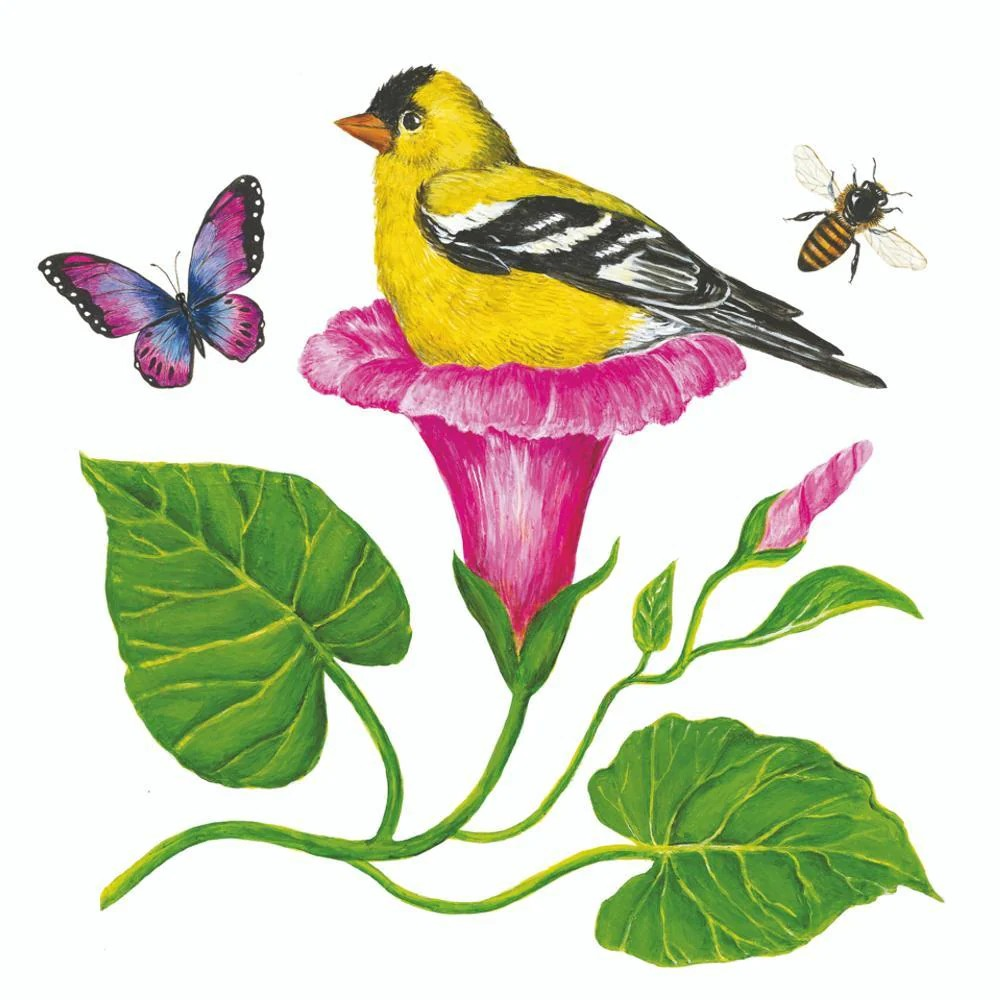Morning Glory Nest Beverage Napkins