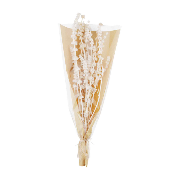 Lions Grass Bundle