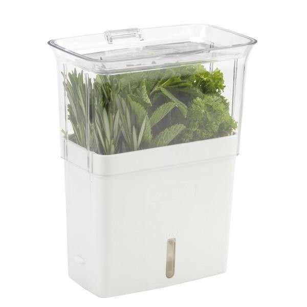 Cole & Mason Fresh Cut Herb Keeper