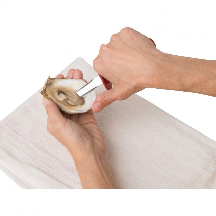 Oyster Knife , Paprika