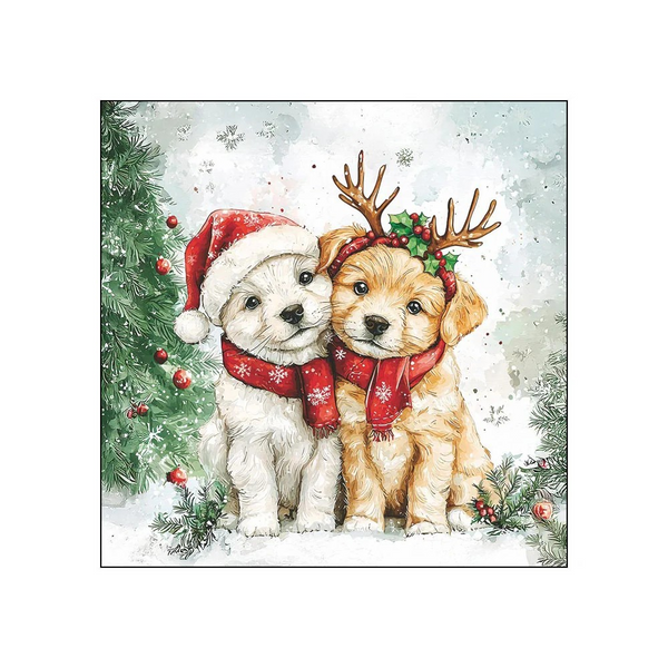 beverage cocktail napkin Christmas-themed featuring two adorable puppy dogs dressed in holiday attire. One white puppy wears a red Santa hat and matching red scarf, while the golden puppy wears a red scarf with snowflakes and a green holly wreath with brown antlers.