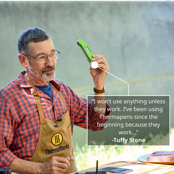 Thermapen ONE
