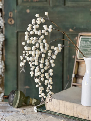 Icy Snowdrop Berry Hanging | 35"