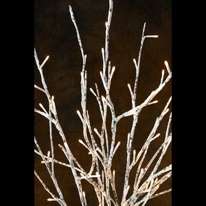LED Birch Branch - Choose From 2 Lengths