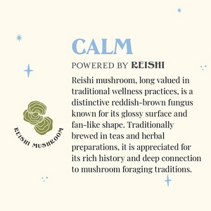 The Republic of Tea SuperShroom Calm Tea
