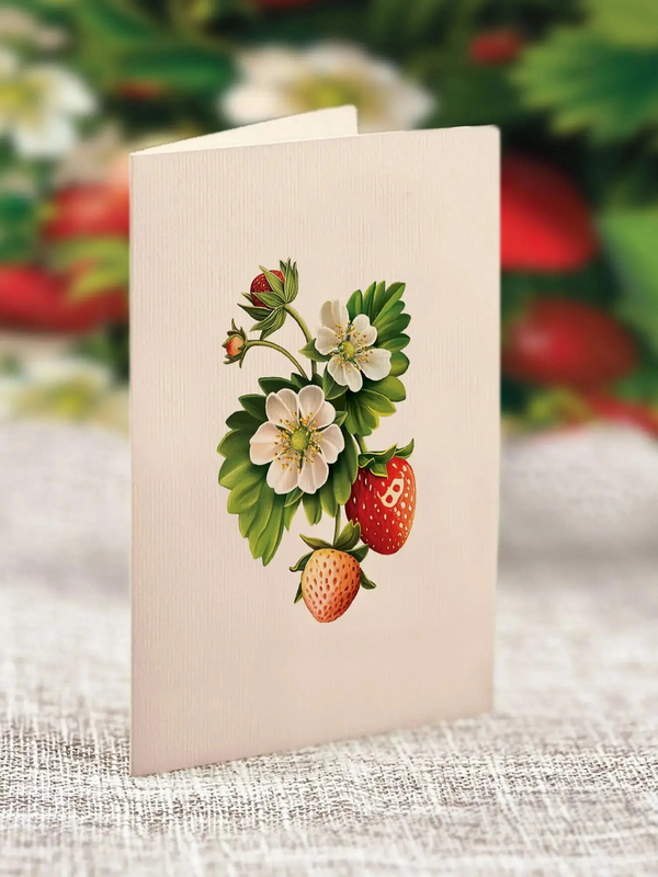 Fresh Cut Mini Bouquet Cards - Several Bouquets to Choose From!