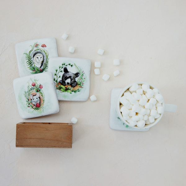Hemlock Woodland Box Coaster Set