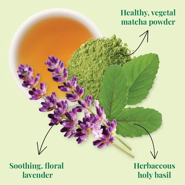 The Republic of Tea SuperGreen Serenity Tea