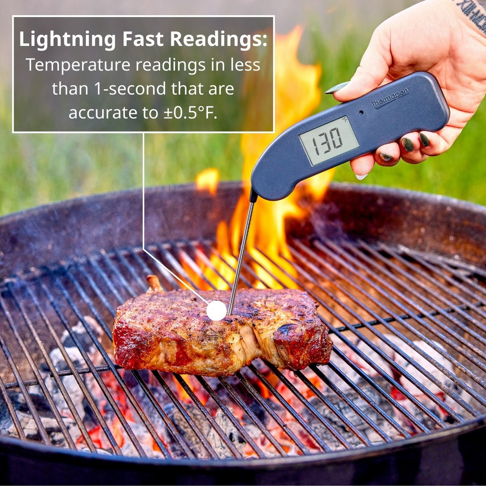 Thermapen ONE