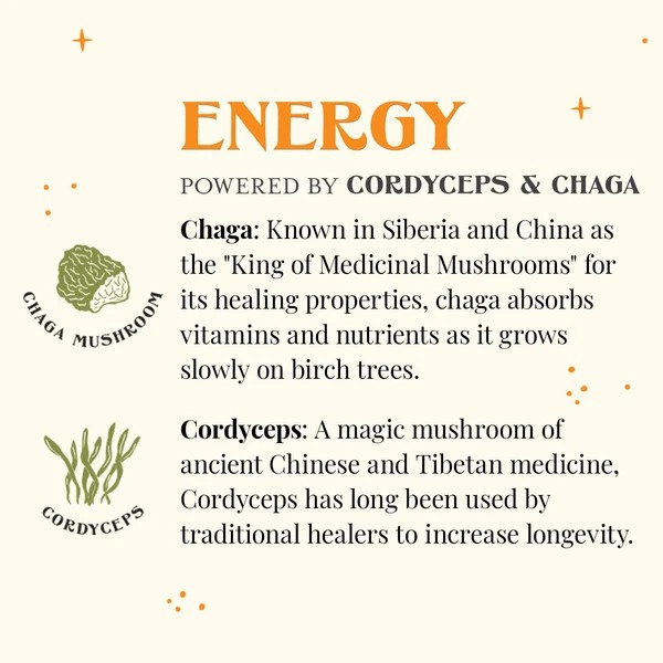 The Republic of Tea SuperShroom Energy Mushroom Tea